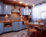 Пропоную в оренду на довгий термін 1 кім квартиру,  вул. Окуневського